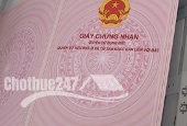 363 Nguyễn Hữu Thọ, Khuê Trung, Cẩm Lệ, TP Đà Nẵng