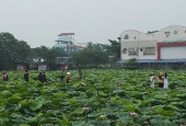 Lạc Long Quân Tây Hồ Hà Nội