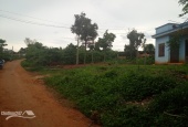 Bán 1000 m2 đất thổ vườn ngang 10m dài 100m ở Thôn Đồng Lạc 3 - Xã Đinh Lạc - Huyện Di Linh
