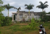 Chính chủ cần bán đất đã xây nhà cấp 4 kiên cố tại Xuân Lộc, Đồng Nai