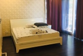 Cho thuê căn hộ cao cấp 2 phòng ngủ, full nội thất, Phú Mỹ Hưng, Q7 (giá chỉ 12 triệu)