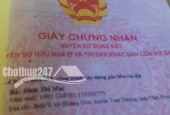 Xã Hoàng Hoa - Huyện Tam Dương - Vĩnh Phúc
