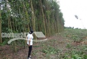 Bán 567 m2 đất  thổ cư có 1-0-2 ở xã Long Phước,huyện Long Thành,tỉnh Đồng Nai