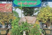 Thị trấn Tân Phú, huyện Đồng Phú- Bình Phước