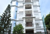 Bán building, căn hộ dịch vụ mt quận 1 . dt : 8,2 x 20m . 1 hầm , 8L .