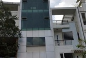 Bán Building MT Nguyễn Thị Minh Khai, Q.1, 14x17m, 12 lầu, TN: 550tr/t