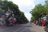  Đội Cung, Phường 8, Quận 11, TP.HCM
        
        