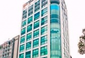 Bán tòa building MT Lê Thị Hồng Gấm, P Nguyễn Thái Bình, Q 1, hướng TN