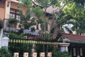 Cho thuê biệt thự mini Nguyễn Huy Tự, Quận 1