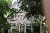 Cho thuê biệt thự villa trung tâm Phú Mỹ Hưng quận 7, nhà đẹp
