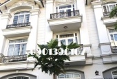 Villa Quận 2 Kinh Doanh Diện Tích 240m2 Giá 2500usd/Tháng